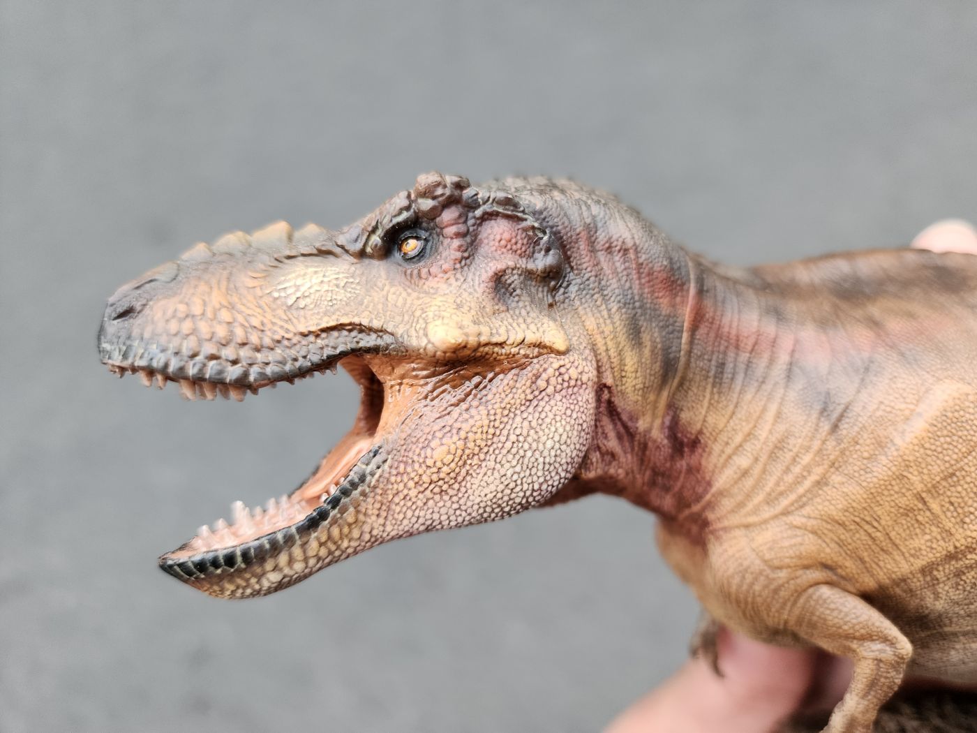 Mô hình khủng long T-Rex W-Dragon Tyrannosaurus Rex tỉ lệ 1/35